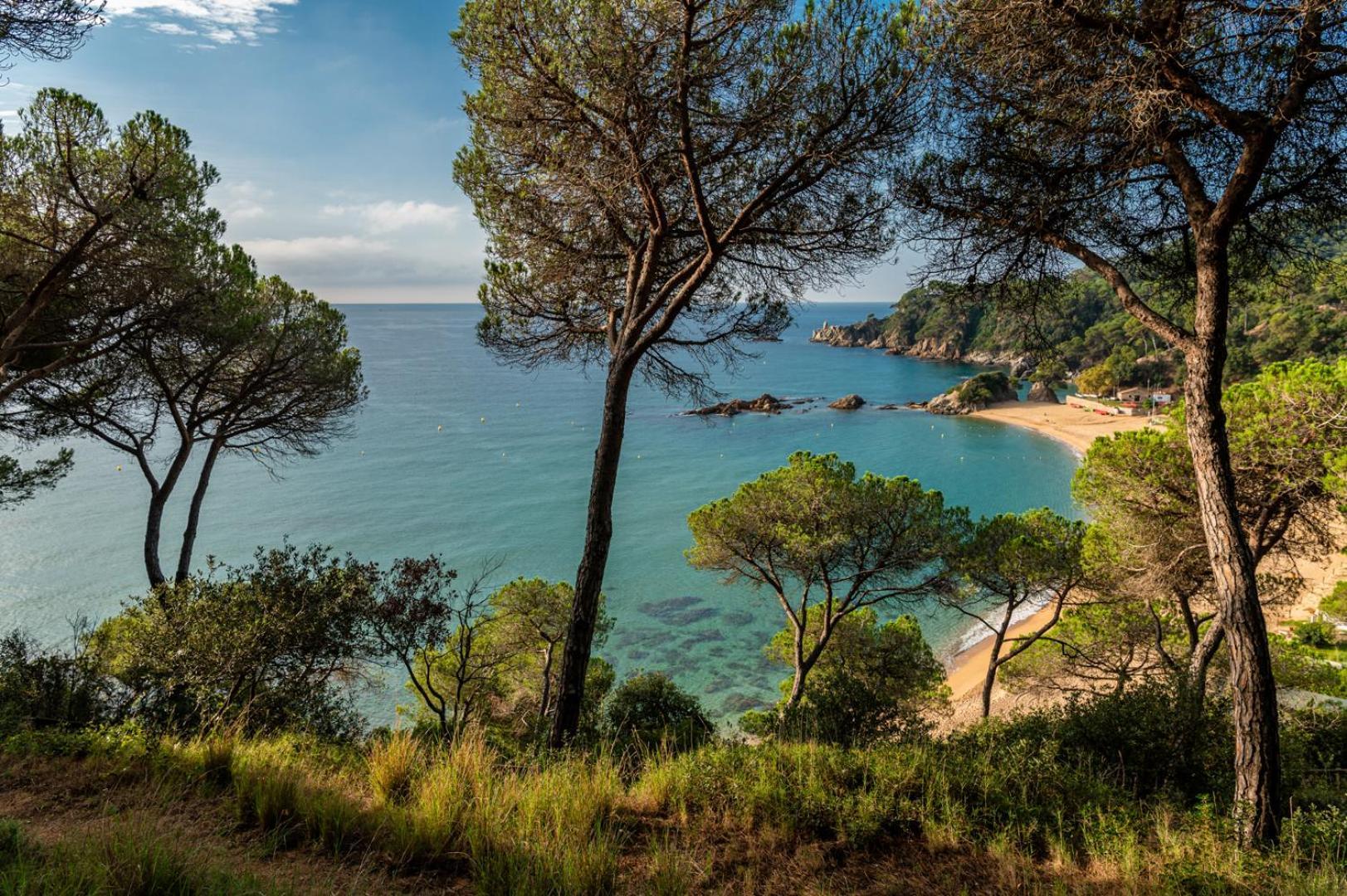 Albamar Apartaments Lloret de Mar Bagian luar foto